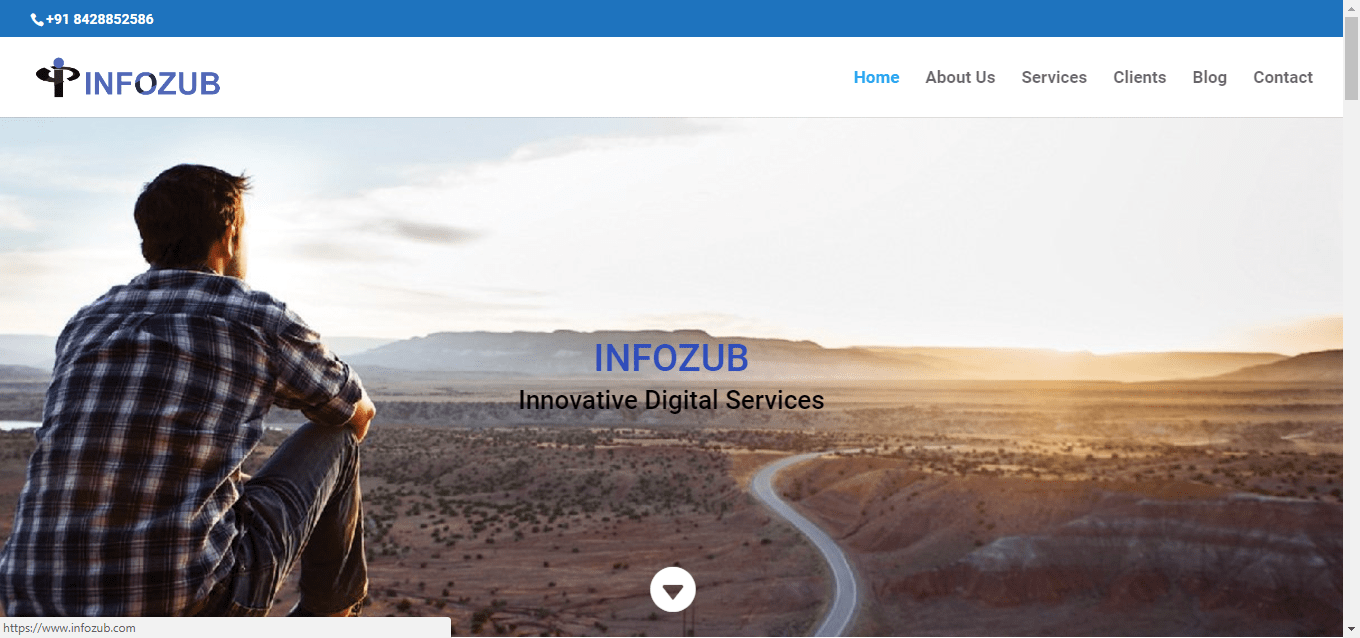 infozub Portfolio